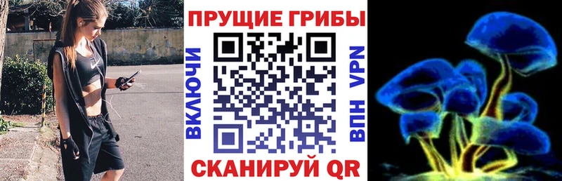 это состав  Шадринск  Псилоцибиновые грибы MAGIC MUSHROOMS 